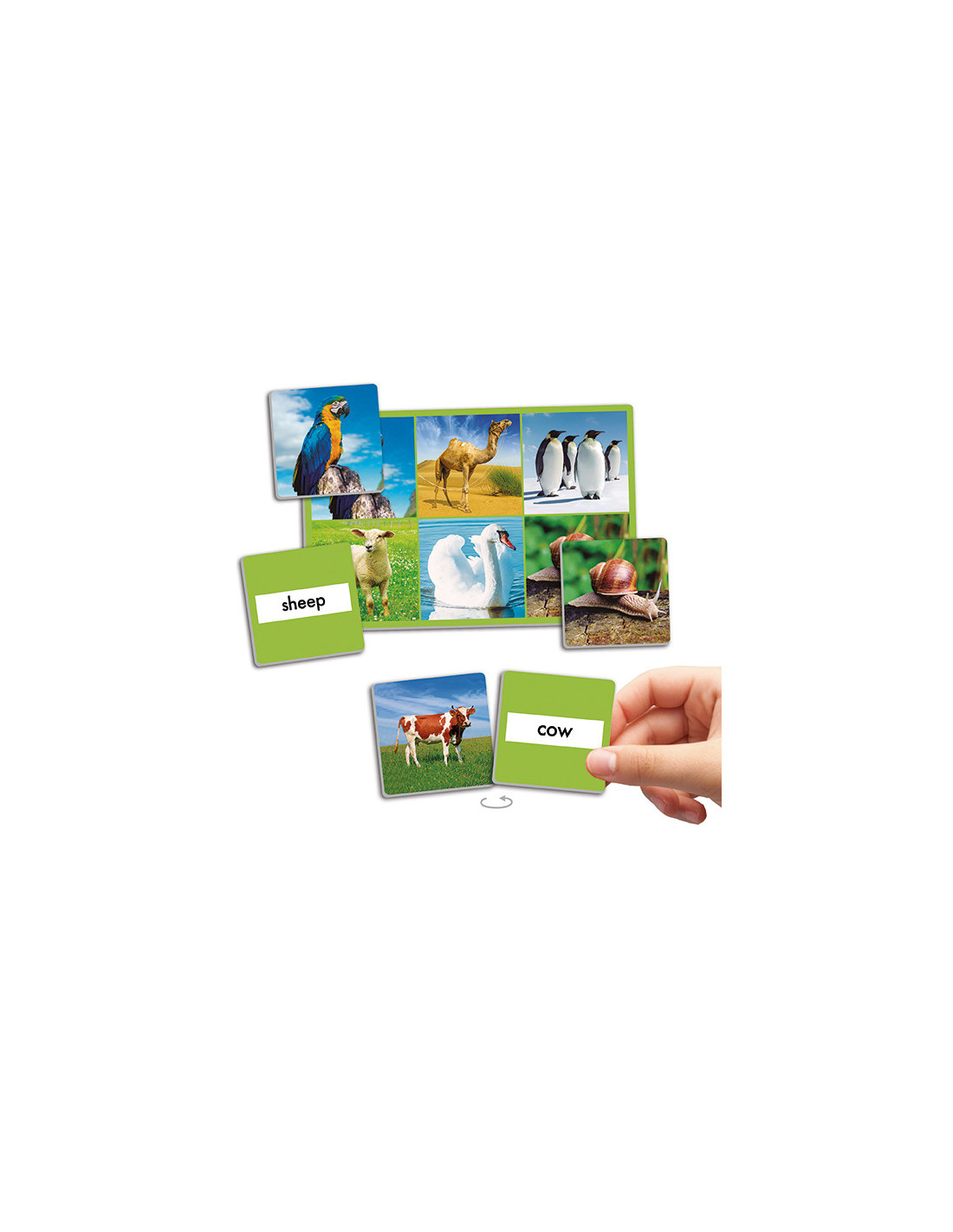 Loto: 72 životinje - Slika 3