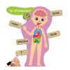 Otkrij ljudsko tijelo - Thumbnail Image 2