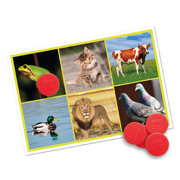 Bingo - Životinje i priroda - Slika 2