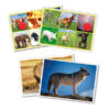 Bingo - Životinje i priroda - Thumbnail Image 3