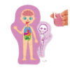 Ljudsko tijelo - Thumbnail Image 2