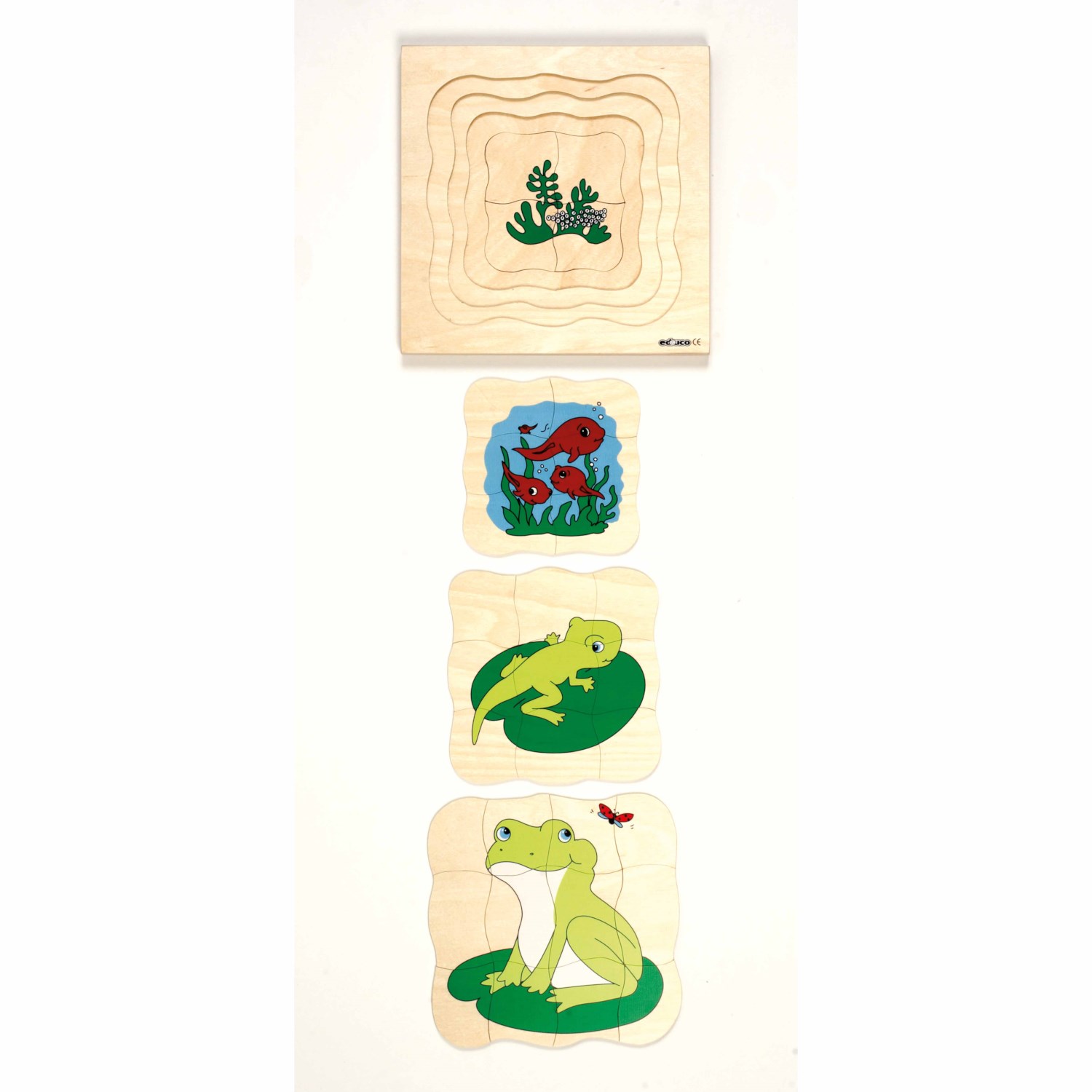 Razvojne puzzle - Žaba - Slika 2