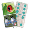 Domino - životinje - Thumbnail Image 3