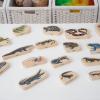 Drvene pločice Reptili i vodozemci - Thumbnail Image 7