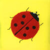 Taktilna kocka - Thumbnail Image 6