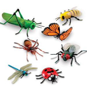 Jumbo insekti