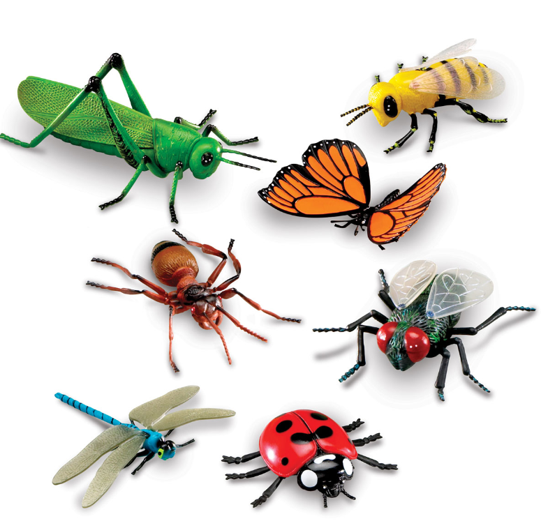 Jumbo insekti - Slika 1