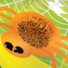 Senzorni zid Livada - Thumbnail Image 3